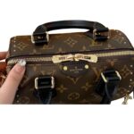 LV Speedy Studded Pillow Bag | 25SS Runway Edition - Image 4