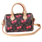 LV Speedy 20 Cherry Edition