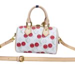 LV Speedy 20 Cherry Reissue