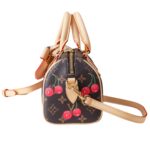 LV Speedy 20 Cherry Edition – Monogram x Takashi Murakami Revival - Image 2